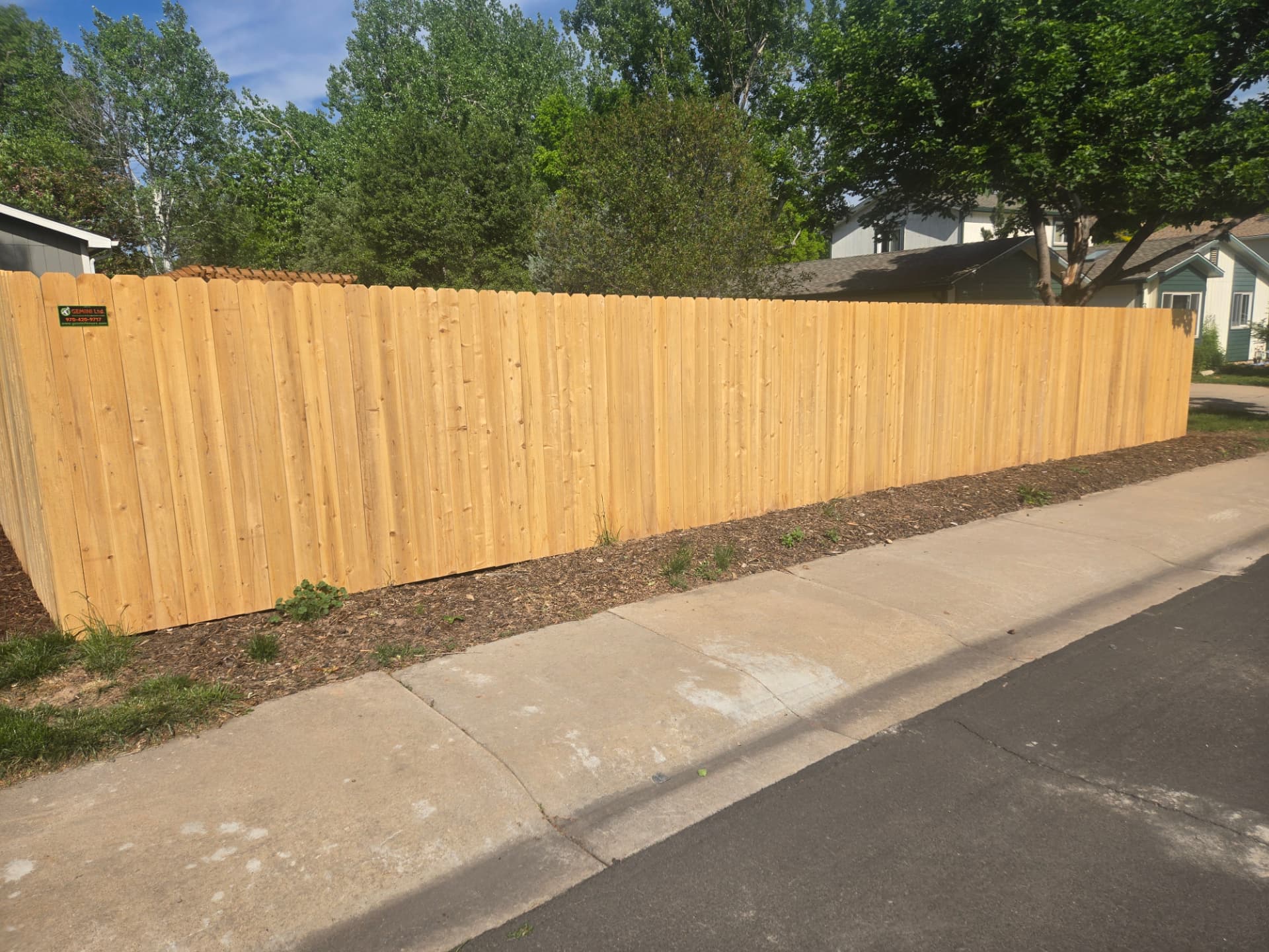Cedar fence staining — before