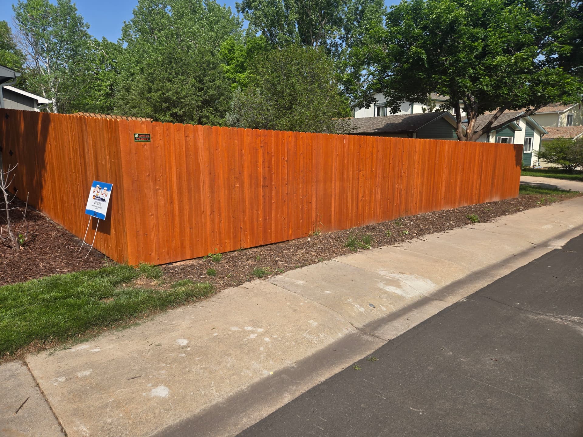 Cedar fence staining — after